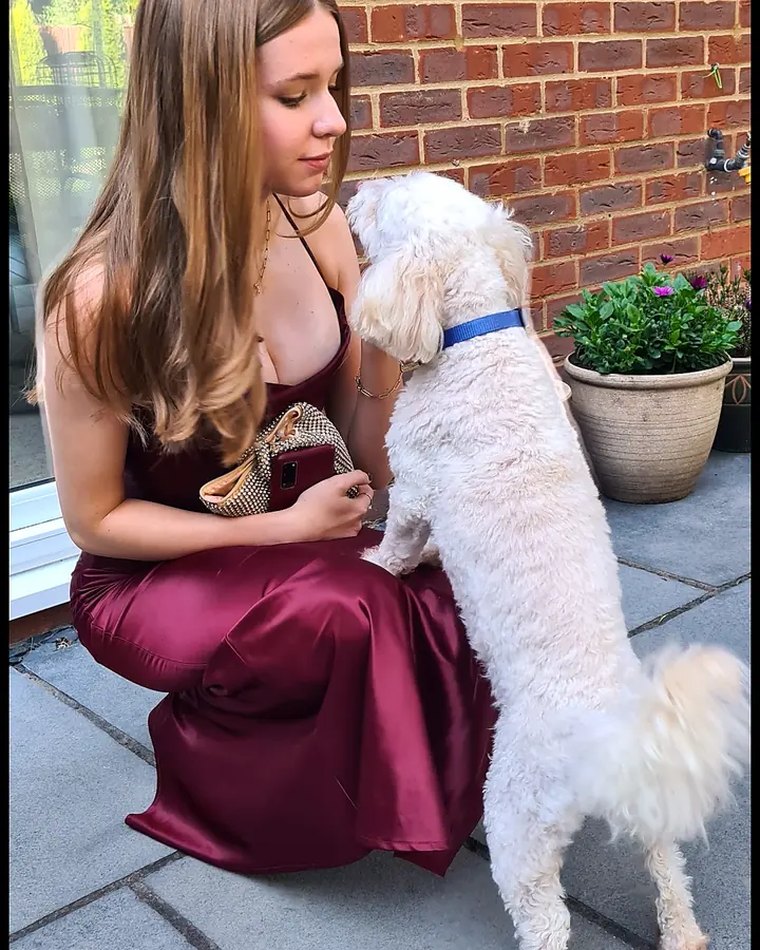 Beth Jenkins crouching in a burgundy dress beside Baloo, her cream miniature poodle