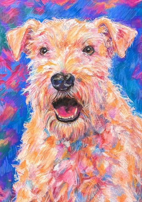 Jill, a wheaten terrier in warm apricot coloured pencil over a deep blue ground